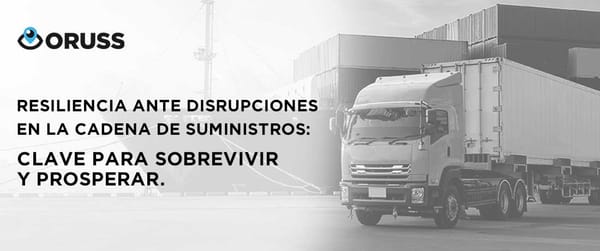 Resiliencia ante disrupciones en la cadena de suministros: clave para sobrevivir y prosperar.